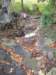 coolrocks_small.jpg