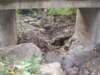 dryriver_small.jpg