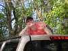 jillonthetruck_small.jpg