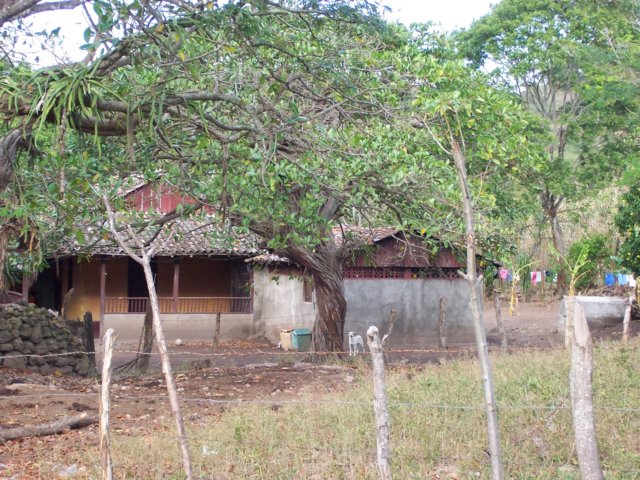 typicalnicahouse.jpg