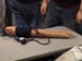ingrids_arm